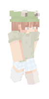 Skin preview