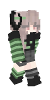 Skin preview