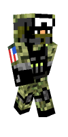 Skin preview