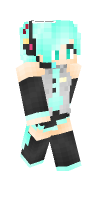 Skin preview