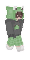 Skin preview
