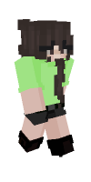 Skin preview