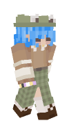 Skin preview