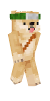 Skin preview
