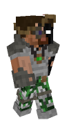 Skin preview