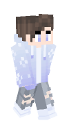 Skin preview