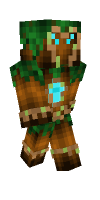 Skin preview