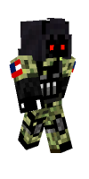 Skin preview