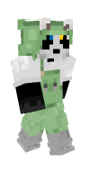 Skin preview