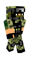 Skin preview