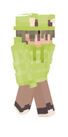 Skin preview