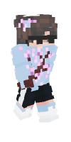 Skin preview