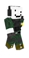 Skin preview