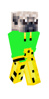 Skin preview