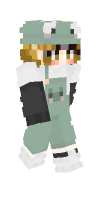 Skin preview