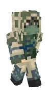Skin preview