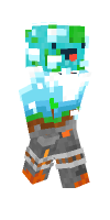 Skin preview