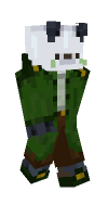 Skin preview