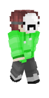 Skin preview