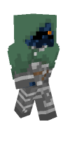 Skin preview