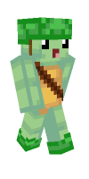 Skin preview
