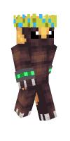 Skin preview