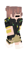 Skin preview