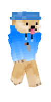Skin preview