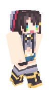 Skin preview