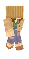 Skin preview
