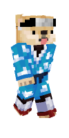 Skin preview
