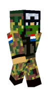 Skin preview