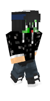 Skin preview