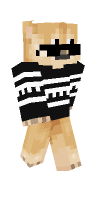 Skin preview
