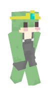 Skin preview