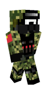 Skin preview