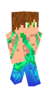Skin preview