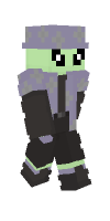 Skin preview