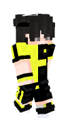 Skin preview