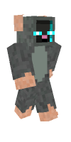 Skin preview