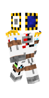 Skin preview