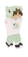 Skin preview