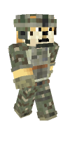 Skin preview