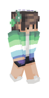 Skin preview