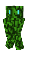Skin preview