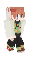 Skin preview
