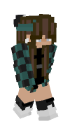 Skin preview