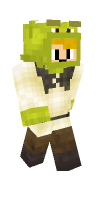 Skin preview