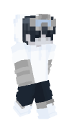 Skin preview
