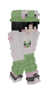 Skin preview